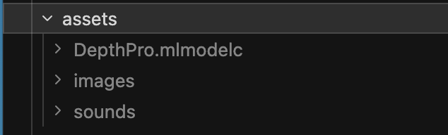 Drag and drop the depth model file into your assets folder